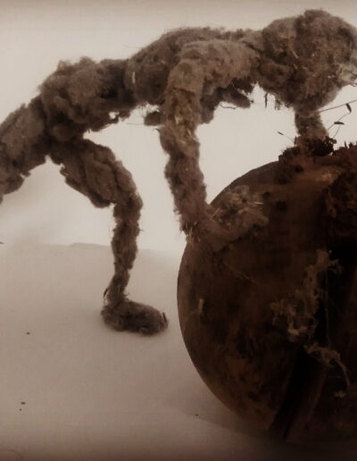 Tourne pas rond l'homme